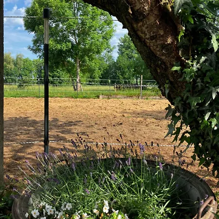 Adlershof * Hemmersheim